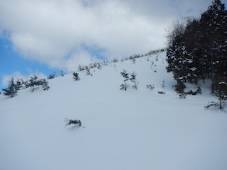 c0359615_20592578.jpg