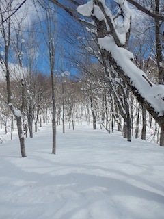 c0359615_20593643.jpg