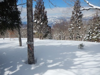 c0359615_20594954.jpg
