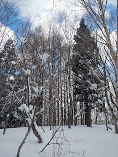 c0359615_21000246.jpg