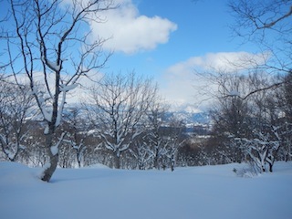c0359615_21001210.jpg