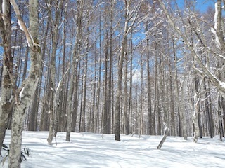 c0359615_21002819.jpg