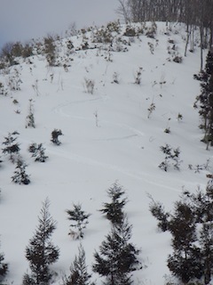 c0359615_21021254.jpg