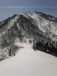 c0359615_22314407.jpg