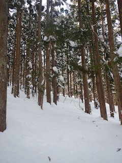 c0359615_22322313.jpg