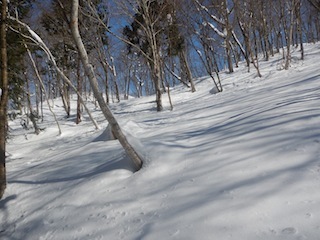 c0359615_22323479.jpg