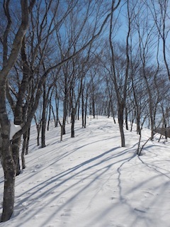 c0359615_22324837.jpg