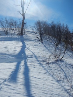 c0359615_22334985.jpg