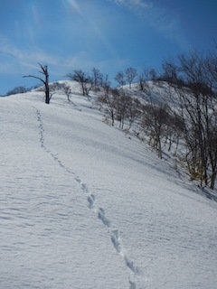 c0359615_22340923.jpg