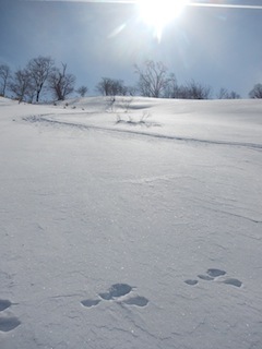 c0359615_22343337.jpg