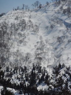 c0359615_22344506.jpg