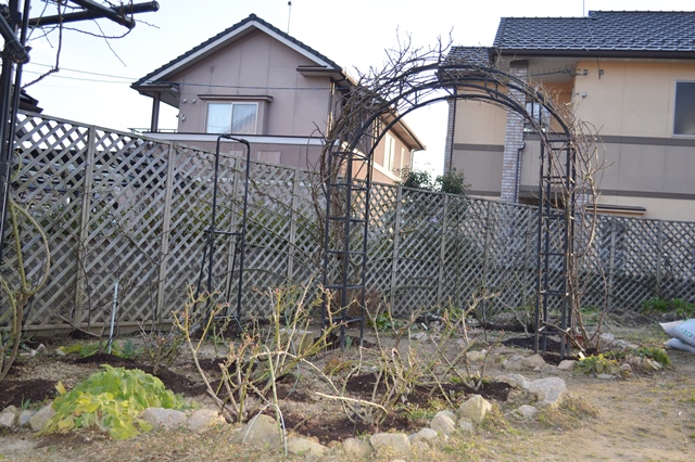 d0096422_21112950.jpg