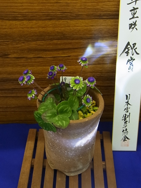 a0189123_20314426.jpg
