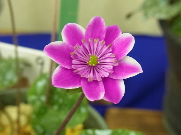 a0189123_20341705.jpg