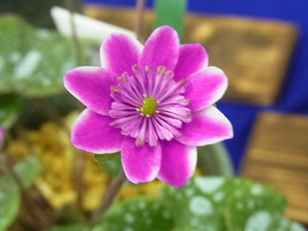 a0189123_20350729.jpg