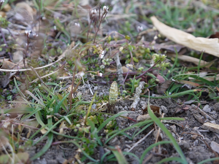 e0137130_23260643.jpg