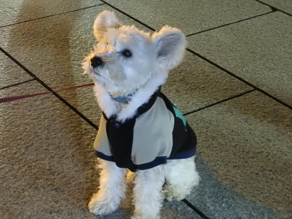 f0118332_00313110.jpg