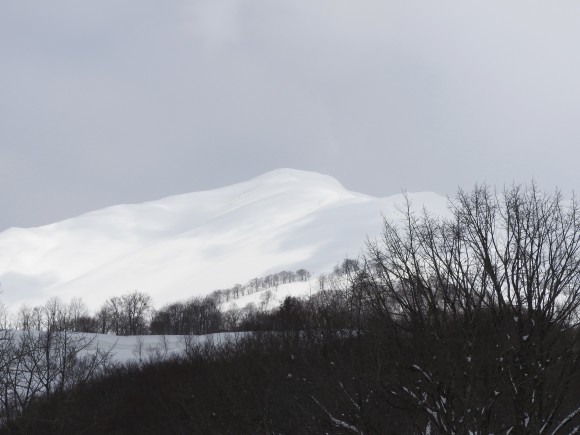 f0118332_23452401.jpg