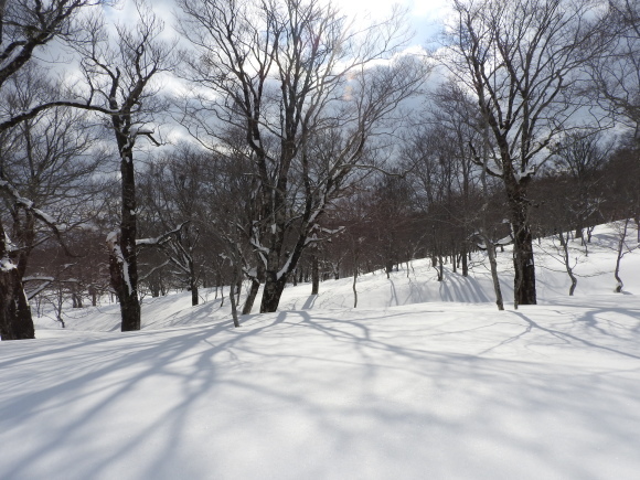 f0118332_23523306.jpg