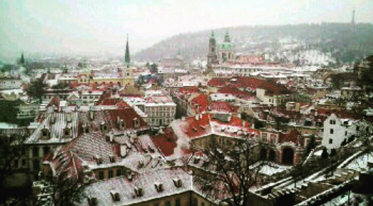 d0011635_16583622.jpg