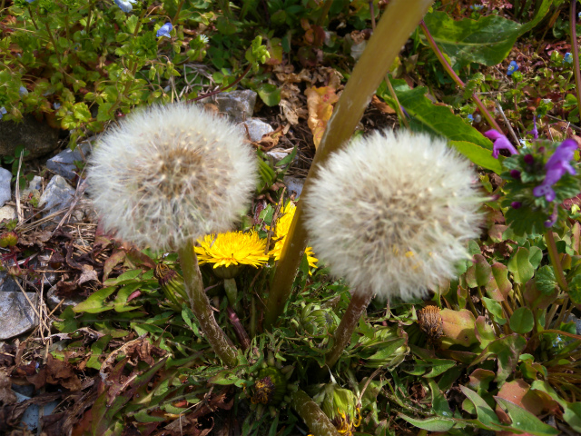 e0272335_17121122.jpg