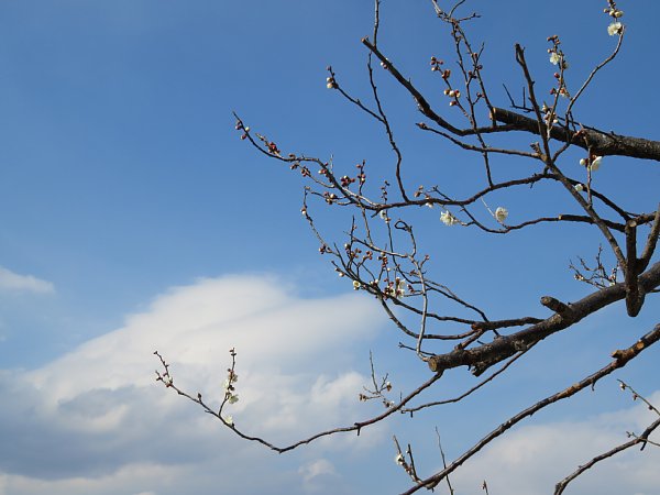 b0341140_1715245.jpg