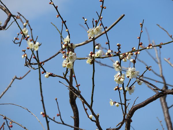 b0341140_17155351.jpg