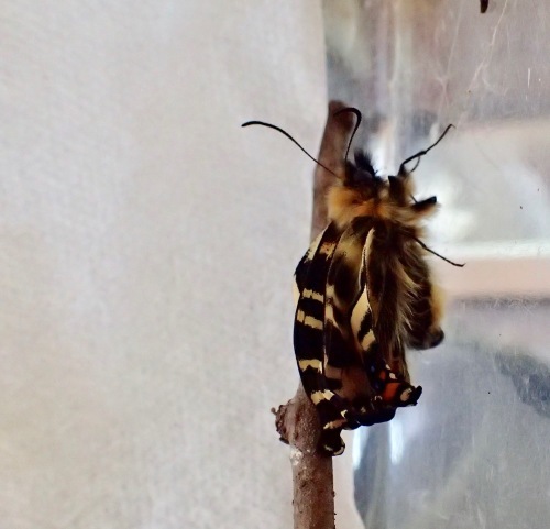d0285540_20333333.jpg