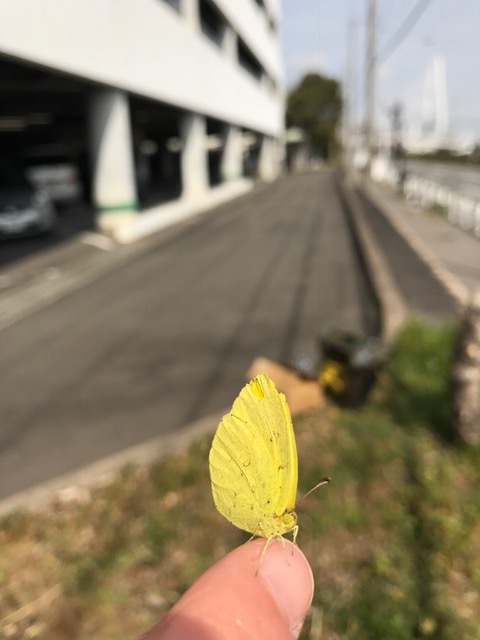 d0285540_20453177.jpeg
