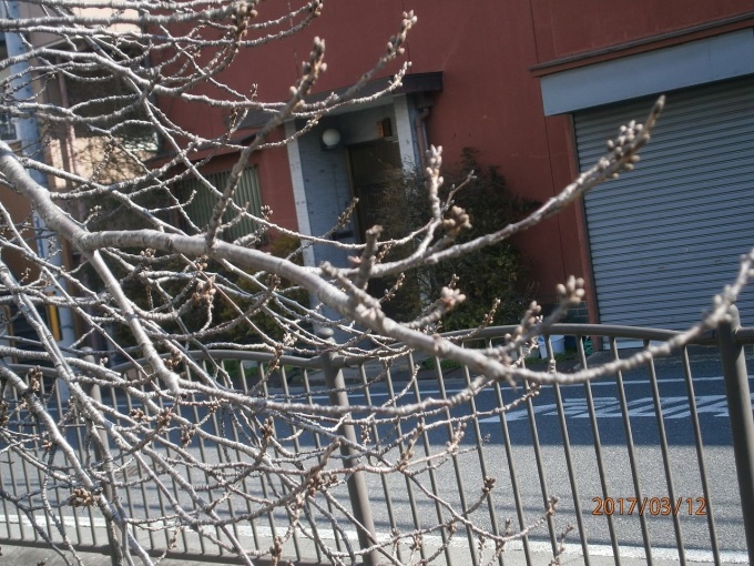 d0343540_13154734.jpg