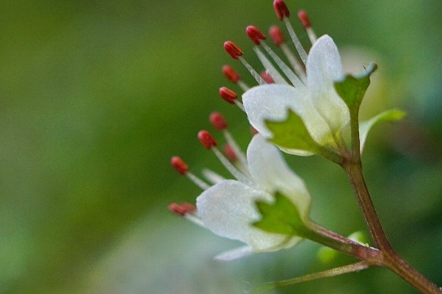 b0122448_07150458.jpg