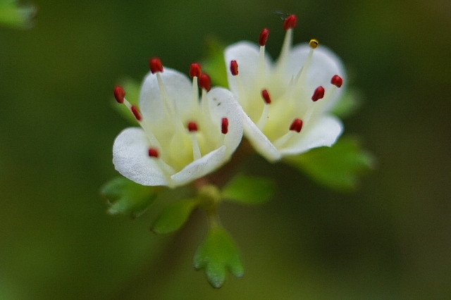 b0122448_07152158.jpg
