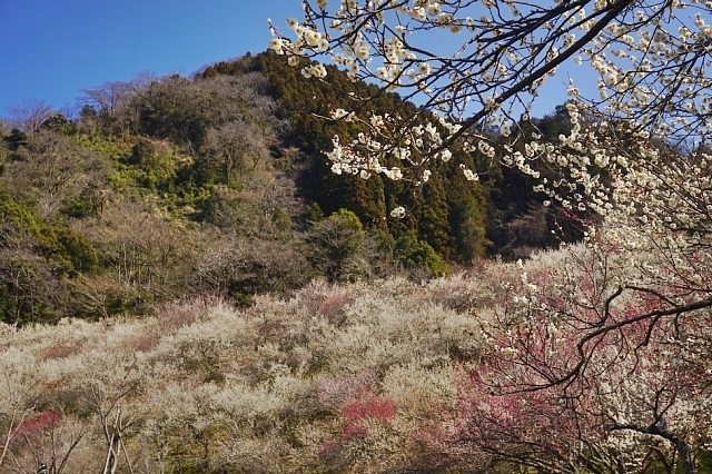 b0122448_07163619.jpg