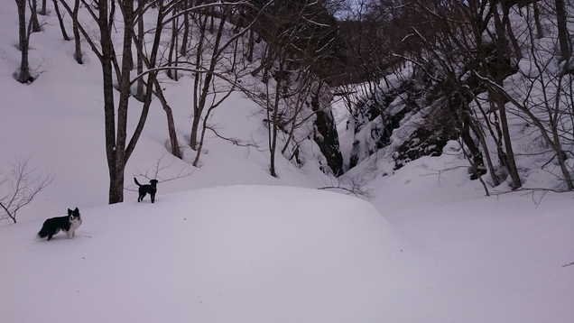 b0245048_23135522.jpg