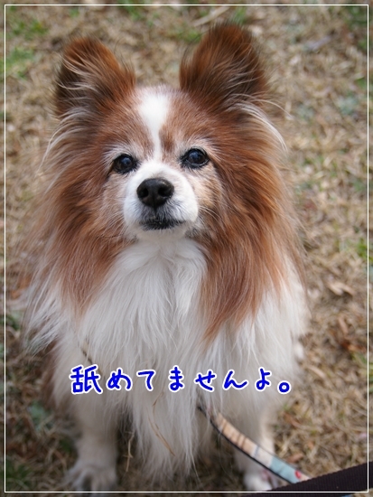 d0013149_00044376.jpg