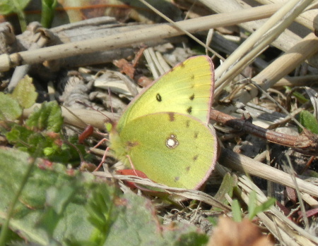 e0172950_20151158.jpg