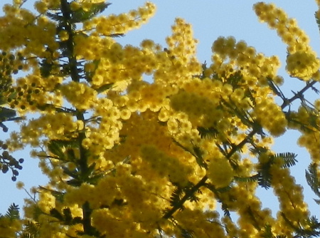e0172950_20182957.jpg