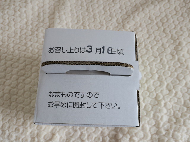c0220154_17565847.jpg