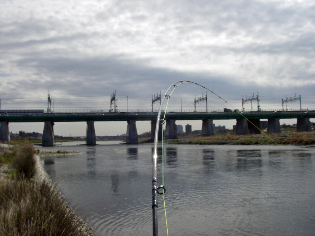 a0130057_20450322.jpg
