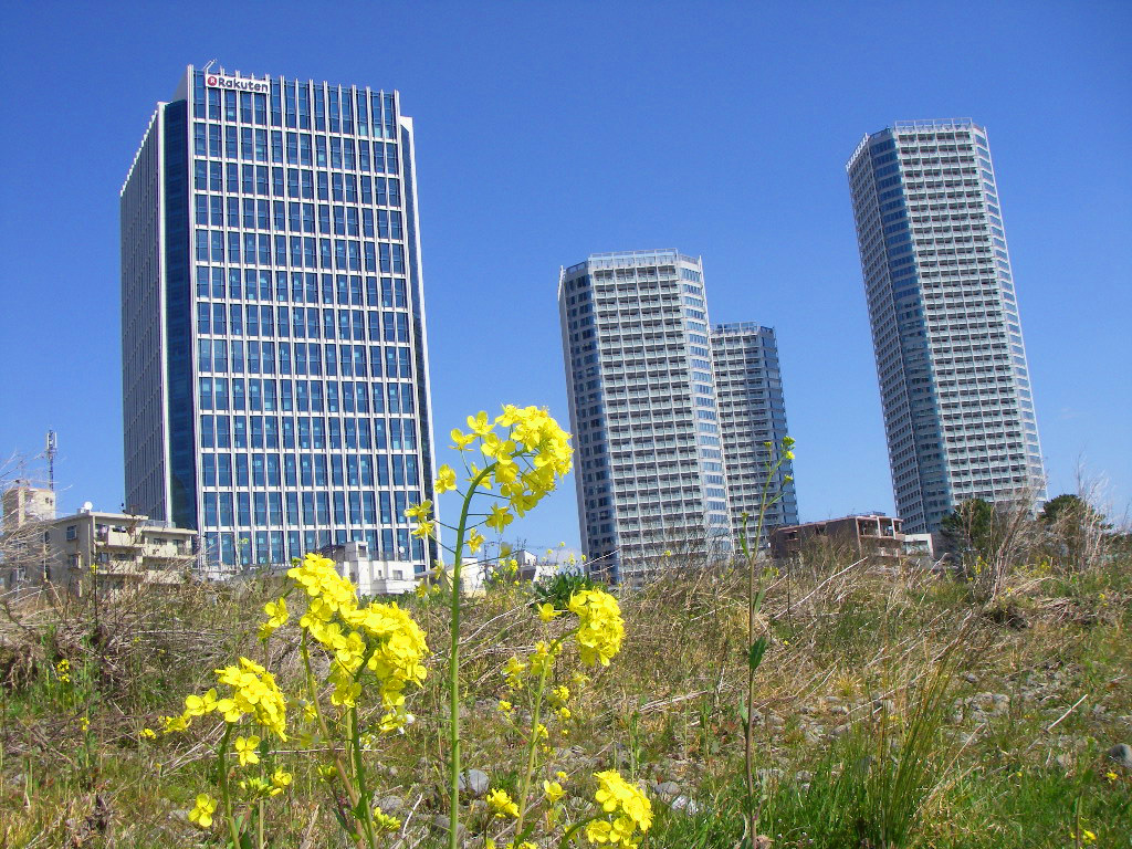 a0130057_21035569.jpg