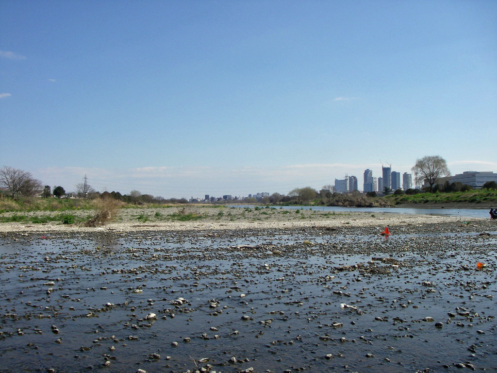 a0130057_21182200.jpg
