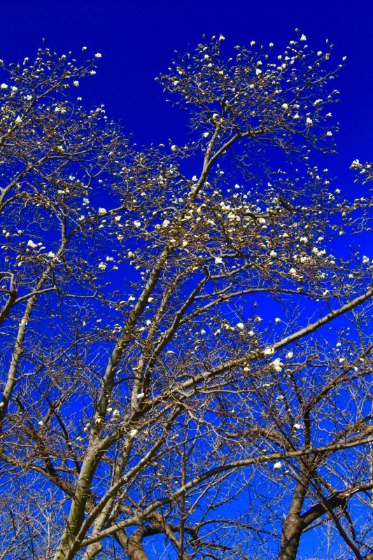 a0248459_14273576.jpg