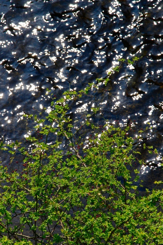 a0248459_14291013.jpg