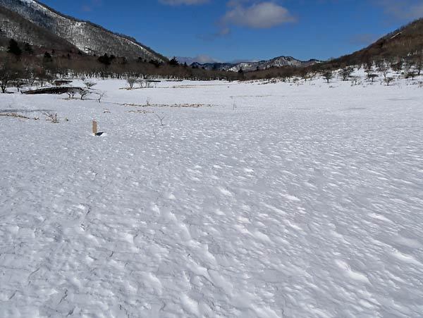 c0043361_11100448.jpg