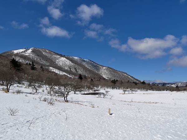 c0043361_11144065.jpg