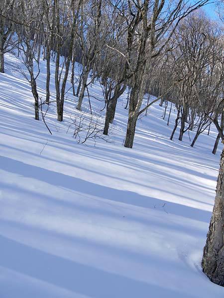 c0043361_11161380.jpg