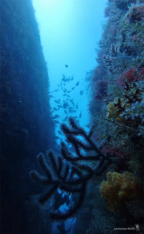 e0158261_630272.jpg