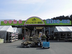 a0331562_1501167.jpg