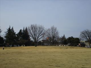 d0045362_19525544.jpg