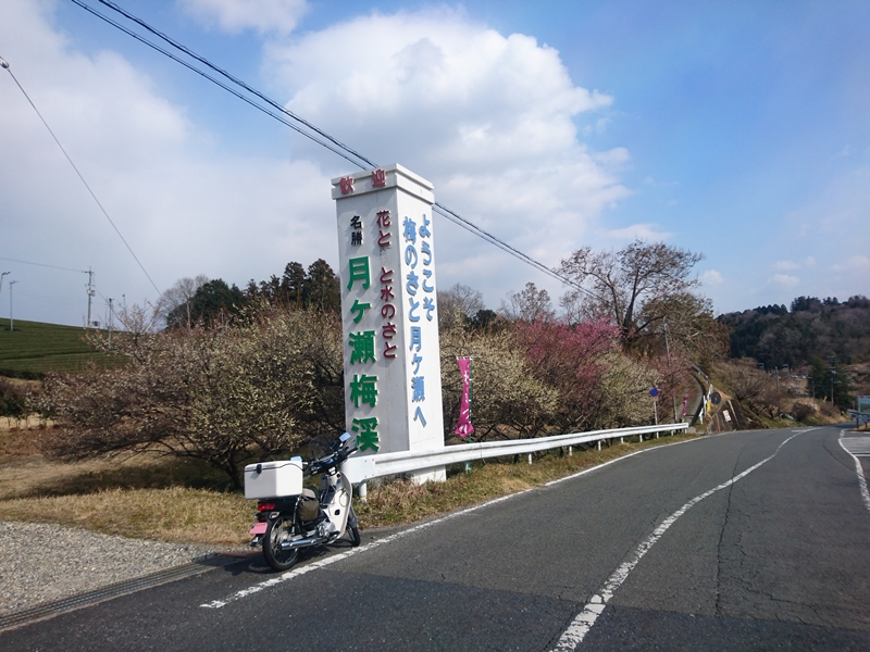 c0292665_11535512.jpg